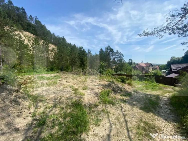 Teren intravilan, 743 mp, 30 ml front la drum, Cheile Baciul - 3