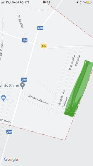 Teren intravilan Dascalu 18.000 m2 - 2