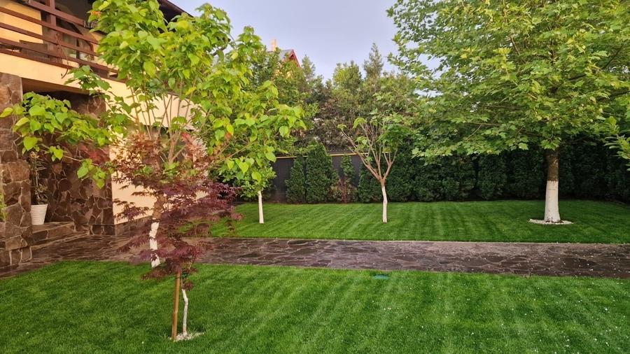 Fundulea, vila 185 mp cu teren 4000 mp, potential dezvoltare imobiliara - 5