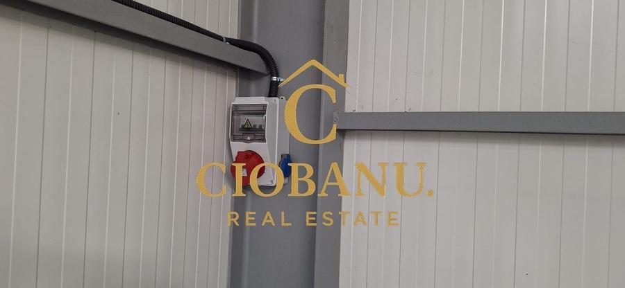 Hala de vanzare in Racarii de Jos - 11