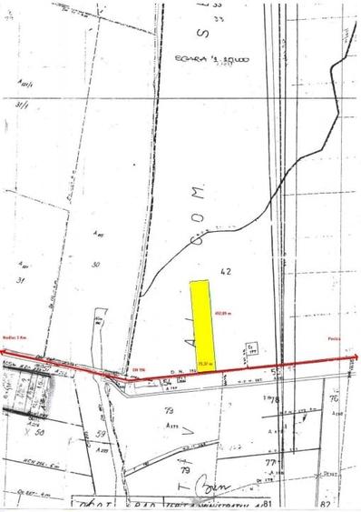 Vand/inchiriez teren  37.000 mp deschidere 75 metri la DN7. Ideal investitie. - 3