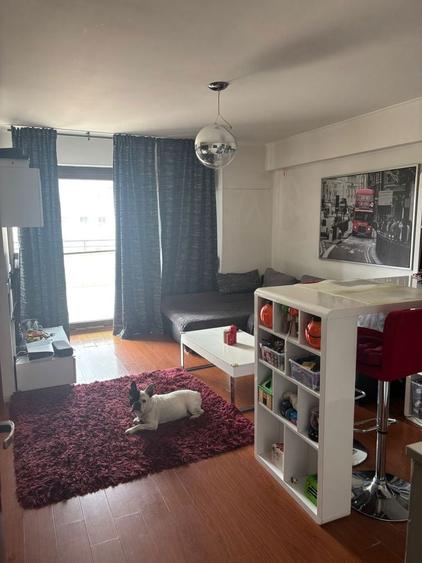 Apartament Piata Domenii - 3