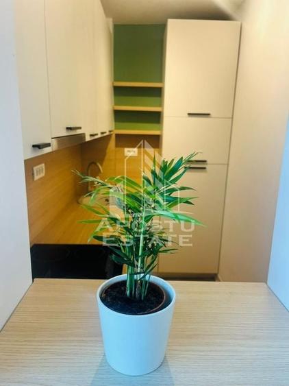 Apartament modern  cu o camere, Take Ionescu la 5 minute de Medicina - 4