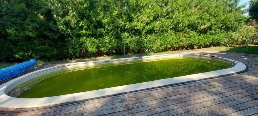 Vanzare - Vila individuala | 5 camere | Piscina | Padure | Corbeanca - 11