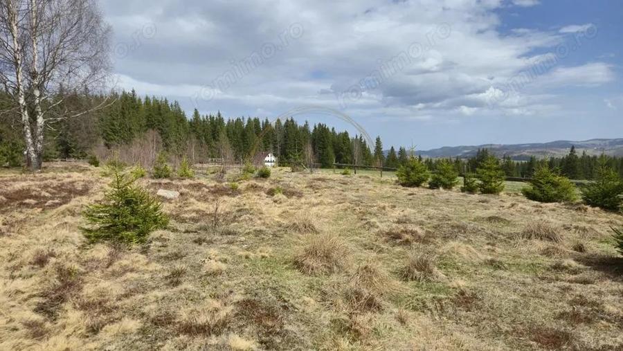 Teren intravilan, 1190 mp, cu PUZ+CU de construire, Marisel, la 500m de partie - 14