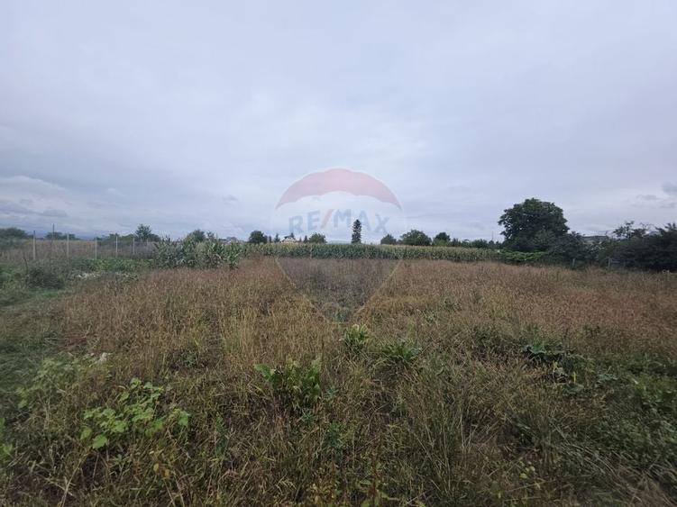 Casă cu livadă și teren generos – Girov - 41