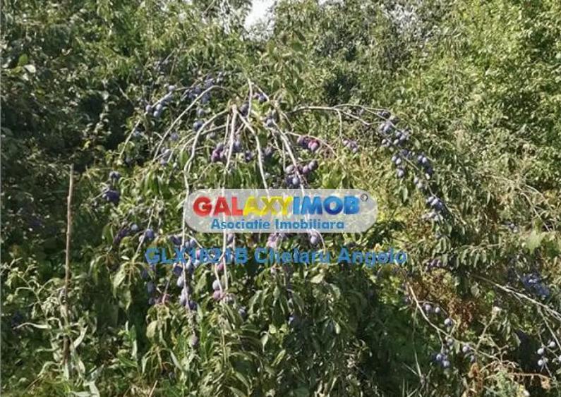 Com. Toporu,jud.Giurgiu,casa batraneasca si teren 2000 mp,ut - 2