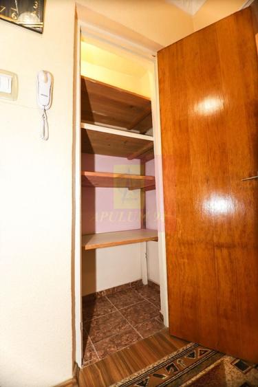 COMISION 0- Apartament  cu vedere panoramica catre Parcul Plumbuita. - 14