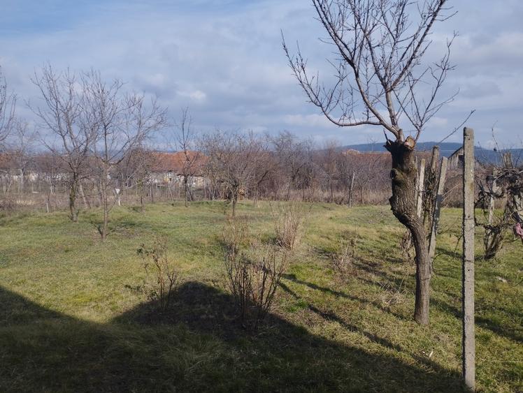 Casa vanzare - 1
