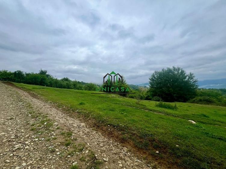 Teren 3507 mp/ Seaca/Calimanesti - 4