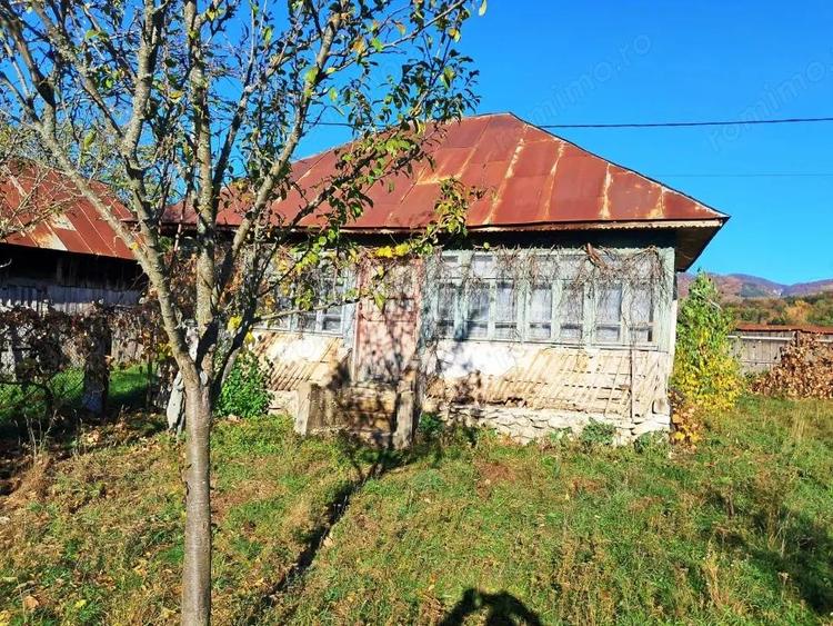 TEREN INTRAVILAN ?I EXTRAVILAN POLOVRAGI-RACOVI?A - 6