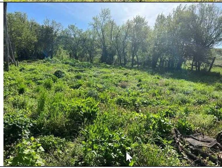 Teren + casa de vanzare 6862 mp sat stroiesti comuna arcani gorj - 6