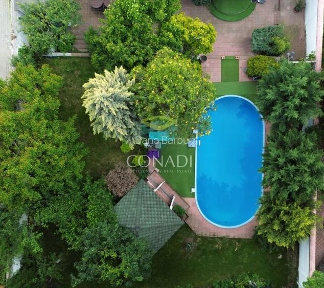 Exclusivitate / Iancu Nicolae-Pipera, vila cu piscina, langa padure