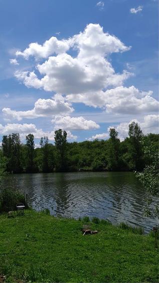 Teren intravilan de vanzare Ilfov - 1