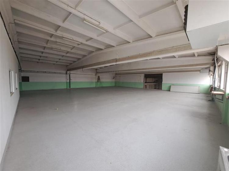 Spatiu industrial, 1500 mp utili, P+E, situat in zona Corneliu Coposu! - 4