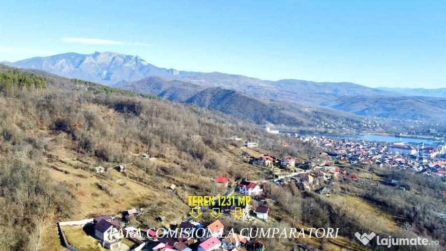 CALIMANESTI, TEREN 1231 MP - 14