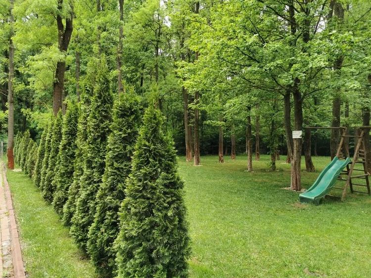 Garsonieră | Închiriere | Parcare inclusă | Pipera – Școala Americană - 3