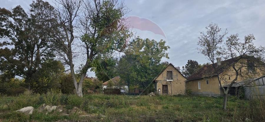 Teren generos cu potential în comuna Silindia, judetul Arad - 6