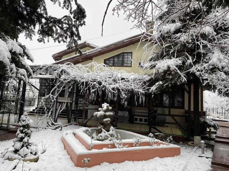 Casă spațioasă în Chiajna- Roșu, ideală pentru rezidențial sau afaceri! - 5