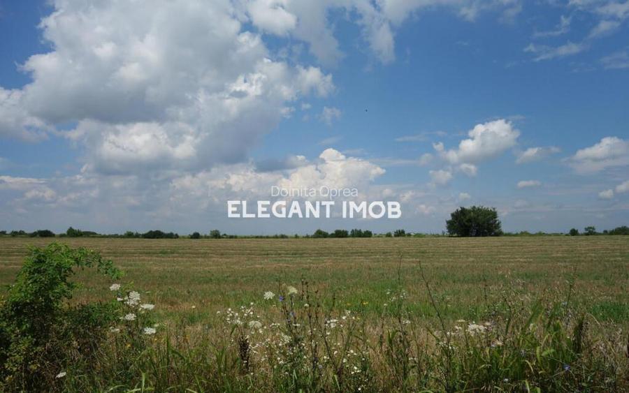 Teren Corbeanca-Ostratu