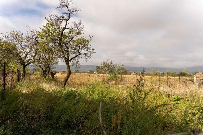 Casa batraneasca de vanzare . - 6