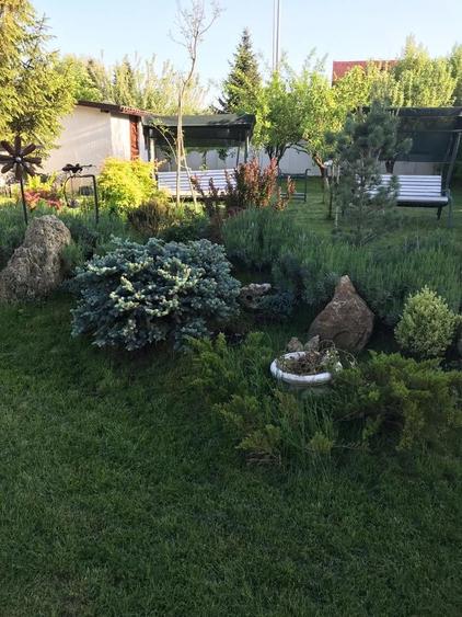 Luxury Residence with Pool and 1000 sqm Garden | Iancu Nicolae - 39