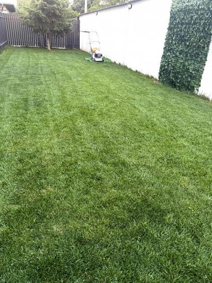 De vanzare Casa noua P+1, tip duplex 4 camere, Pantelimon - 6