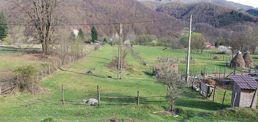 Teren intravilan Closani, 8674 mp pensiune/ casa vacanta - 8