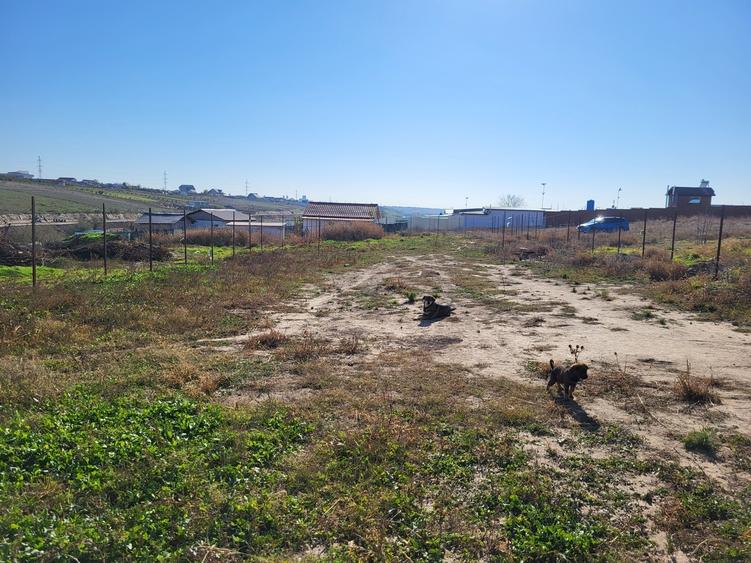 Teren vanzare sat Costi, comuna Vanatori, judet Galati - 5