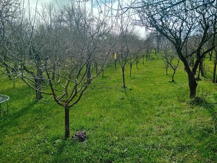 Casa de vanazare in Sandule?ti - 10