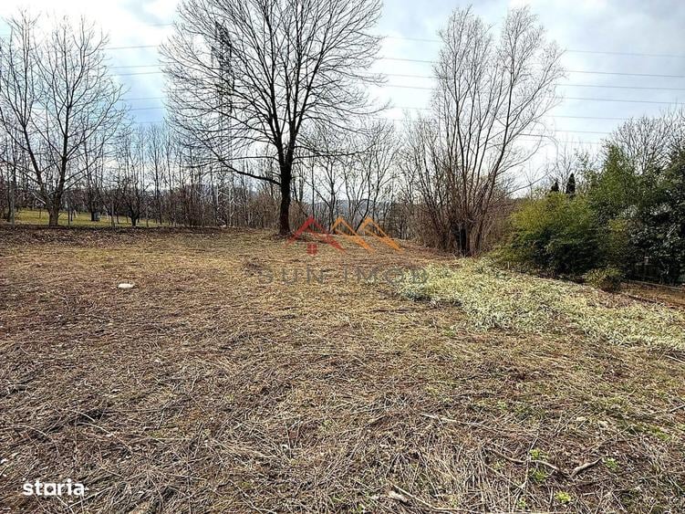 Teren intravilan 3171 mp | Cornu | 29 /mp - 3