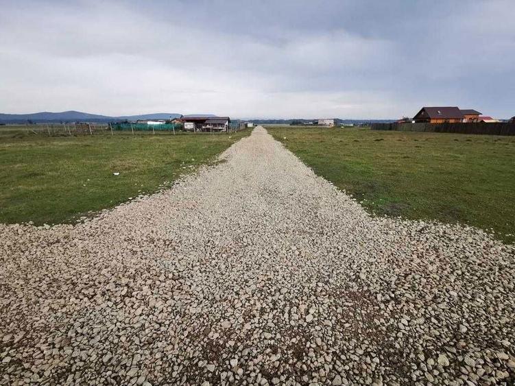 Teren de vanzare Harman Brasov - 1