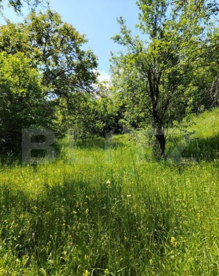 Teren intravilan Pietrosita - 4