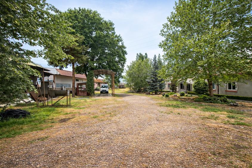 Cramă complet funcțională in inima Podgoriei Odobești - 4