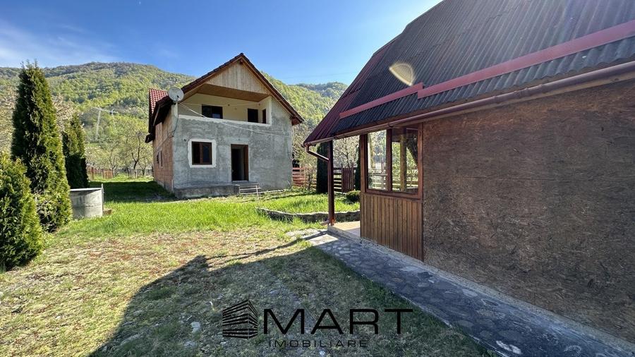 Casa cu teren langa rau Lotrioara - 6
