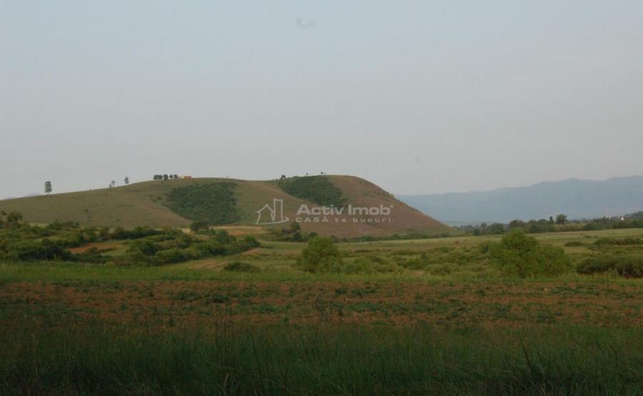 Casa de in Uileacul de Beius gospodarie traditionala,... - 6