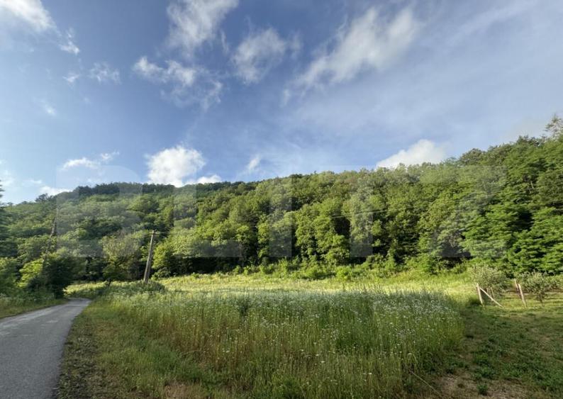 Teren intravilan de 4558 mp - 1