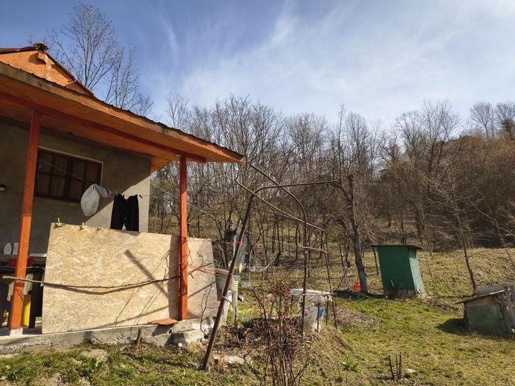 Vanzare casa la tara - 2