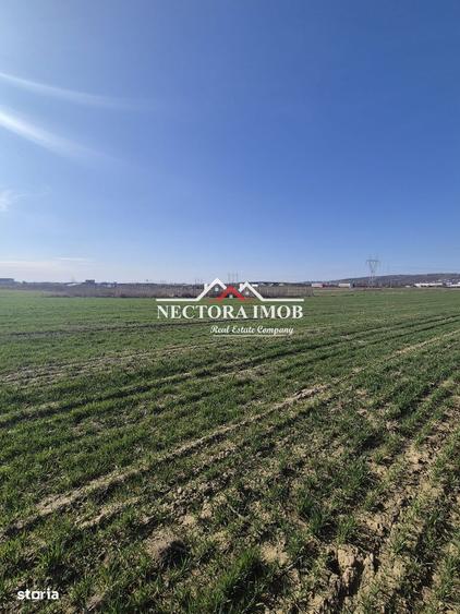 NECTORA IMOB-Teren Intravilan 537 mp, Zona Solay, 250 m de asfalt - 5