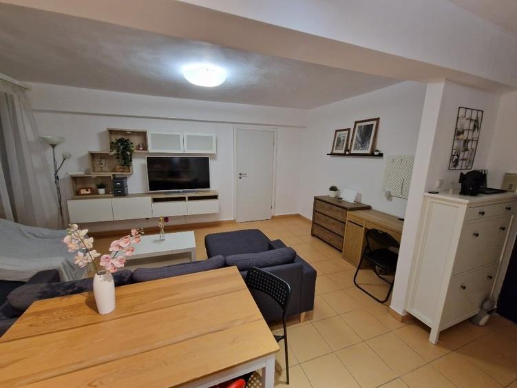 Proprietar, ap 2 camere, Timisoara, ultracentral - 5