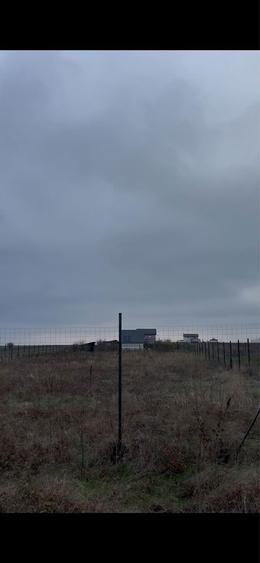 Teren 1845 mp Com Berceni - 2