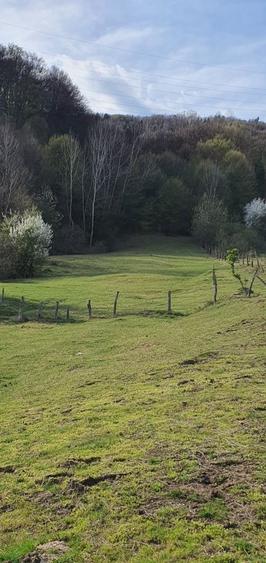 Teren intravilan Closani, 8674 mp pensiune/ casa vacanta - 7