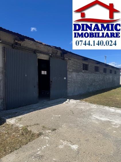 Hala Piatra-Neamt, 714 mp si teren 2092 mp, 199 000 Euro - 6