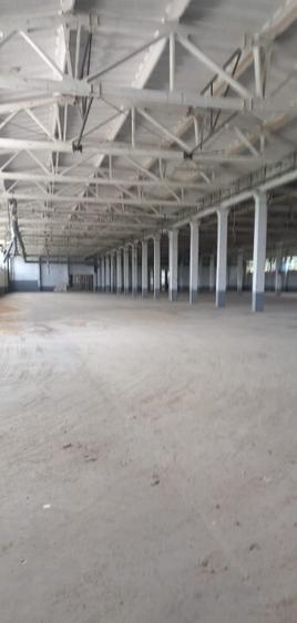 Activ de vanzare la 10 Km de Municipiul Braila ,3 Km de Dunare - 8