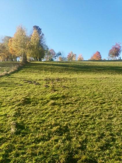 Teren intravilan de vanzare – Bran, Sohodol - 5