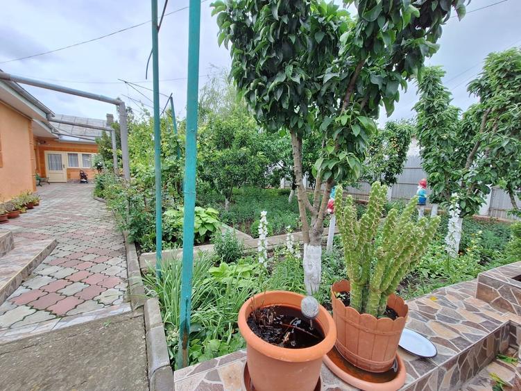 Casa cu 5 camere la 500 metri de LIDL piata centru - 3