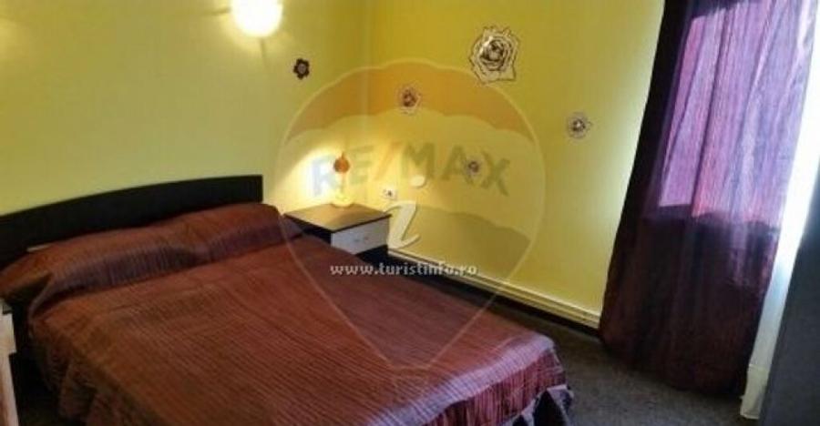 Vila/Casa de vacanta la munte (D+P+E+M) - Prahova - Provi... - 3