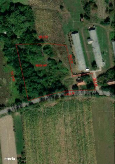 DE VANZARE - Teren intravilan situat in satul Tautelec - IMOBIHOR - 2