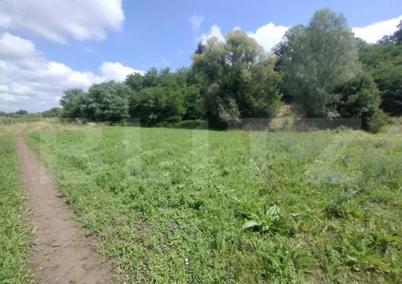 Teren extravilan,850 mp,ideal de cabana,zona Blajeni de Jos - 4