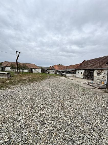 PROPRIETATE CU POTENTIAL URIAS IN PETIN SATU MARE Spatiu. Business. Liniste. Independenta. Totul intr-un singur loc. - 1